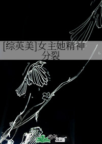 [综英美]女主她精神分裂