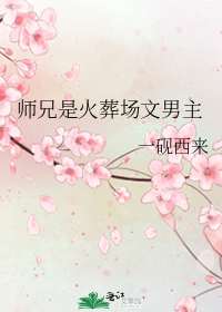 师兄是火葬场文男主