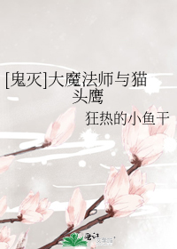 [鬼灭]大魔法师与猫头鹰