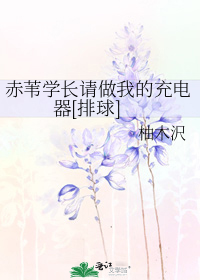 赤苇学长请做我的充电器[排球]