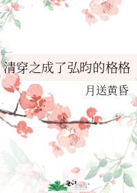 清穿之成了弘昀的格格