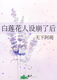 白莲花人设崩了后