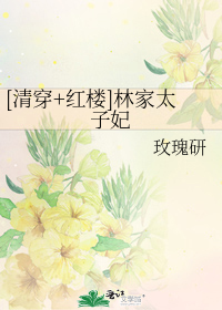 [清穿+红楼]林家太子妃