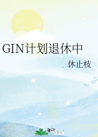 GIN计划退休中