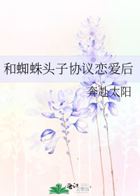 和蜘蛛头子协议恋爱后