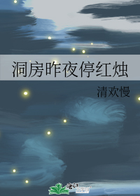 洞房昨夜停红烛